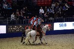 Quadrille - 00223